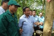 Cao su Hương Khê – Hà Tĩnh mở miệng khai thác